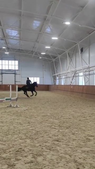 А.Гуреев напрыгивает молодого коня)