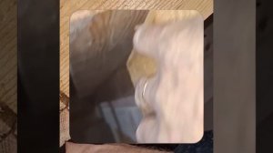 1000046950.mp4 (Собака наблюдает за устройством лестницы на 2 этаж в доме А-фрейм)