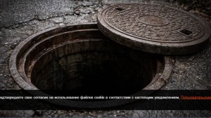 Расчлененный труп нашли в канализационной яме в Самарской области