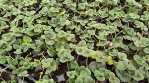 Стало тепло