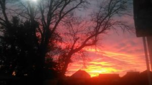 Закат природа