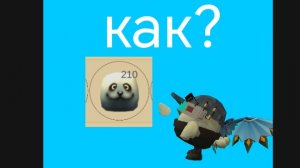 как найти тюленя в чг