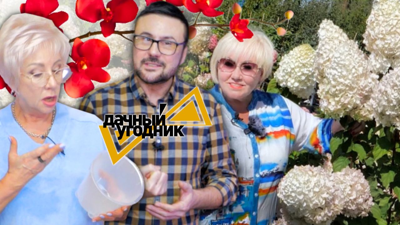 Посев перца и выбор сортов. Посадка орхидей. Очень популярная гортензия. смотреть онлайн