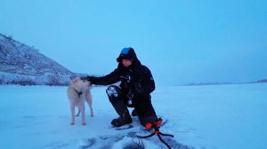 2 дня на судака! Меляки и глубина. Зимняя рыбалка со льда