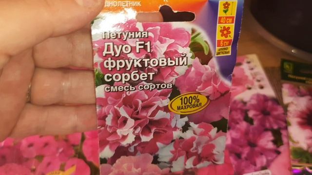 ПОСЕЯЛА 18 СОРТОВ ПЕТУНИЙ. смотреть онлайн