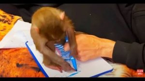 Влад занимается с Люсей и Ангелиной РИСОВАНИЕМ! У Люси тоже ЕСТЬ УСПЕХИ!