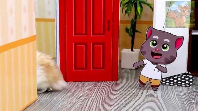 Маленький хомячок чувствует себя брошенным, не подозревая, что его мама и Банбан всегда очень любил смотреть онлайн