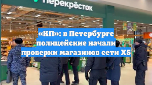 «КП»: в Петербурге полицейские начали проверки магазинов сети Х5