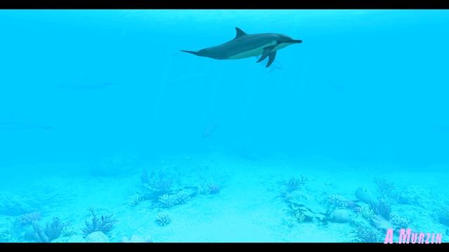 Masterminds Of Miracles 045 (Chris Spheeris) Part 1 смотреть онлайн