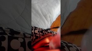 влог с Олесей