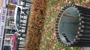 №862 Комсомольский проспект. 11 октября 2025 г., 15:10:50 VID_20251011_151044341