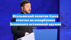 Политик Сассо призвал остановить поставки оружия после слов Зеленского