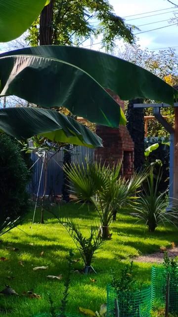 27 октября в саду смотреть онлайн