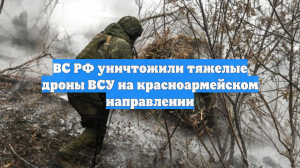 ВС РФ уничтожили тяжелые дроны ВСУ на красноармейском направлении