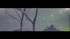 Светящиеся шары летали всю ночь. Съемки на фотоловушку