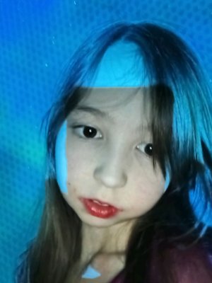 туториал на бм собаку