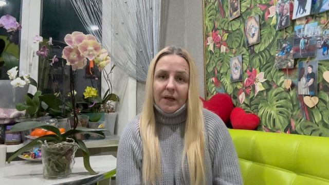 Я- орхидейный блогер смотреть онлайн