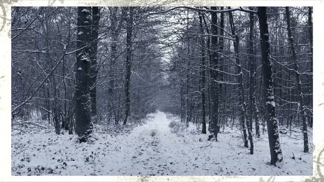 Lex Gaisler - Neosphere смотреть онлайн