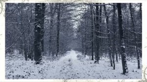 Lex Gaisler - Neosphere