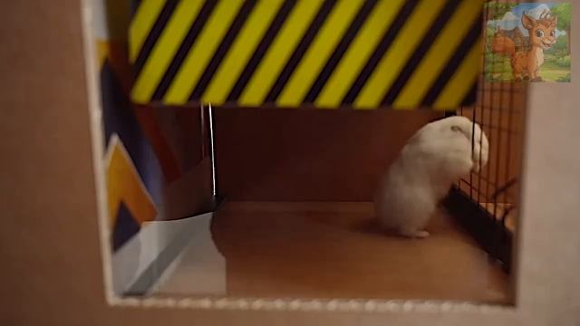 Маленький хомячок устроился на работу в больницу, и его удивительные навыки покорили всех! смотреть онлайн