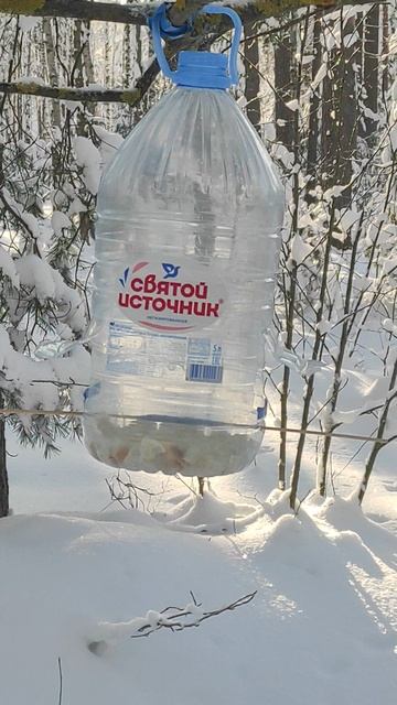 26 Января 2026 смотреть онлайн