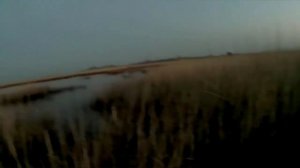 озеро Турали. 2025 на утку.