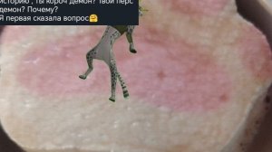 Вопрос ответ 2 часть Пажочек:)