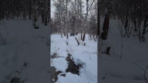 поездка на Мираж,6 января 2026!!!!покатушка ништяк вышла,бегемоты на больших колёсах догнали позже