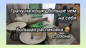 Кошачье приданое: трачу на питомца больше чем на себя.Большая распаковка с Озона