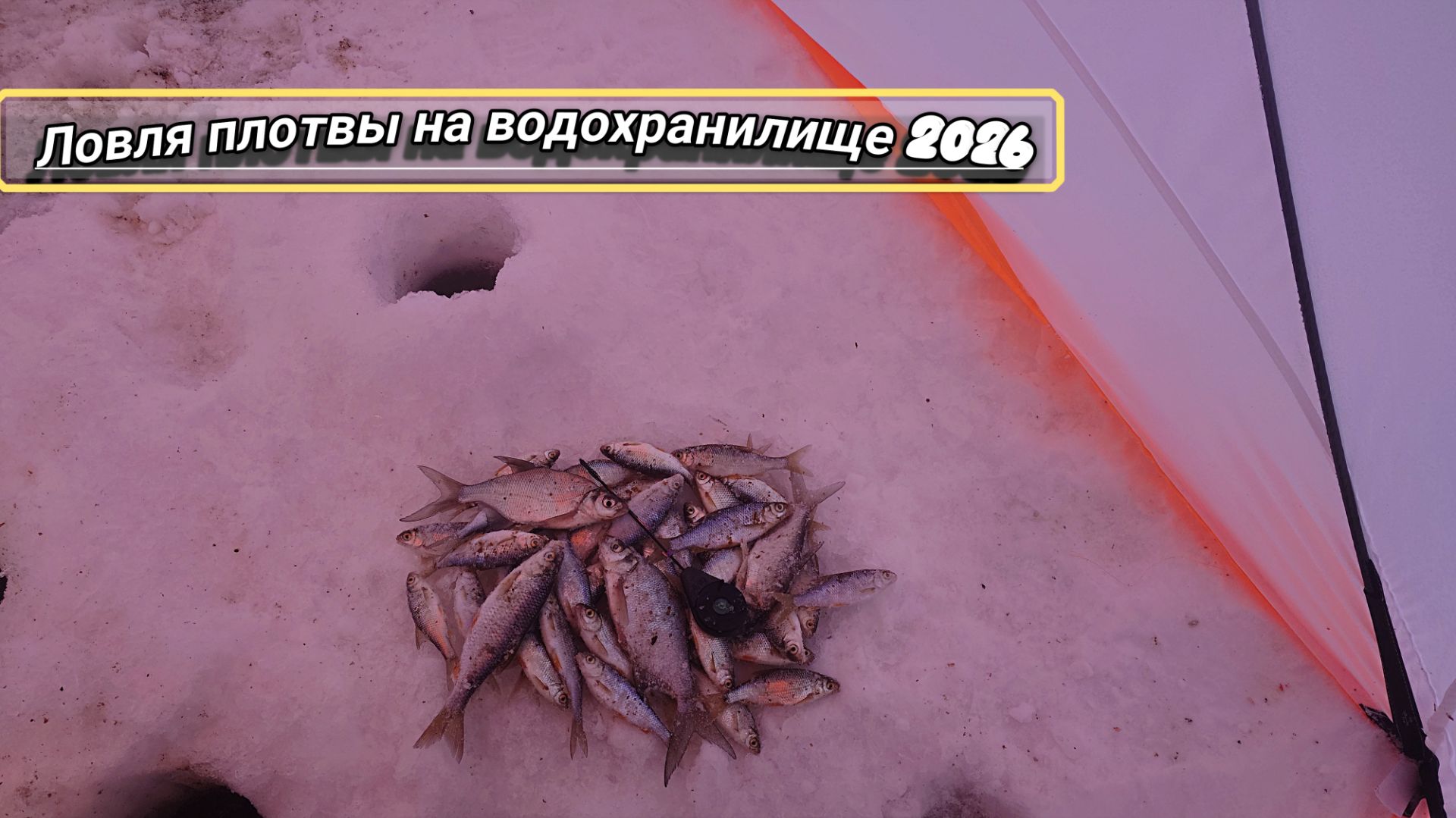 Зимняя Рыбалка 2026 . Ловля плотвы на водохранилище смотреть онлайн