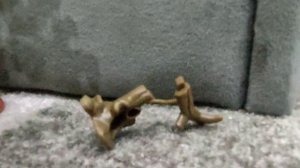 влог в лесу