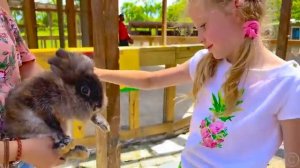 Настя и Ева учат алфавит для детей [get.gt]