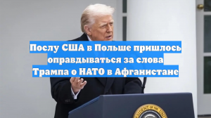 Послу США в Польше пришлось оправдываться за слова Трампа о НАТО в Афганистане