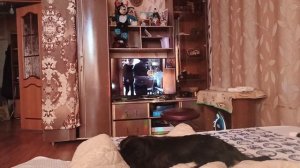 Очень хотелось но не вышло) Выходной в разгаре.