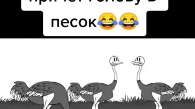 Крот наливай