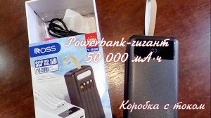 Powerbank-гигант: спасёт на даче, в походе, в отключке  🛠️