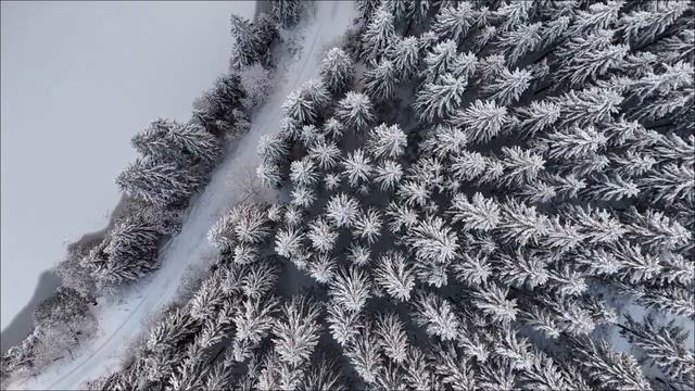 Тайна 25 января - Положите под кровать до утра. смотреть онлайн