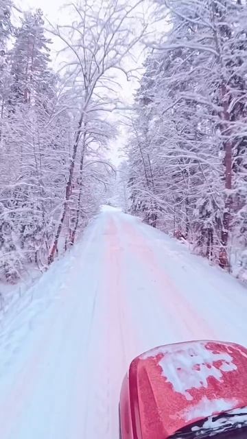 Зима красота. смотреть онлайн