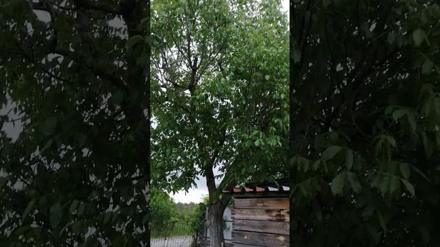 Дом СОНТ Колос, Анапа смотреть онлайн