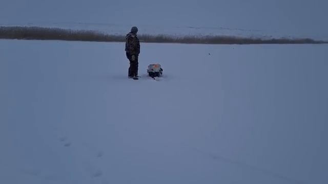 Зимняя рыбалка на жерлицы! смотреть онлайн