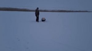 Зимняя рыбалка на жерлицы!