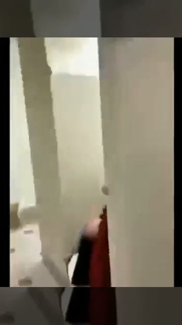 Американская школа смотреть онлайн