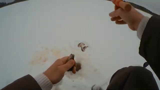 окунь начал клевать смотреть онлайн