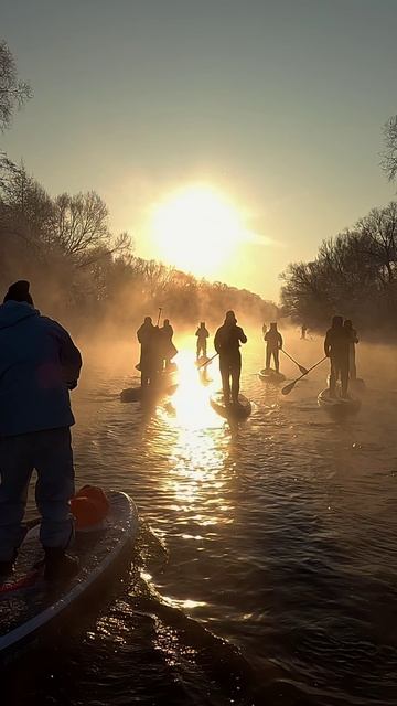 Ёжики в золотом тумане смотреть онлайн