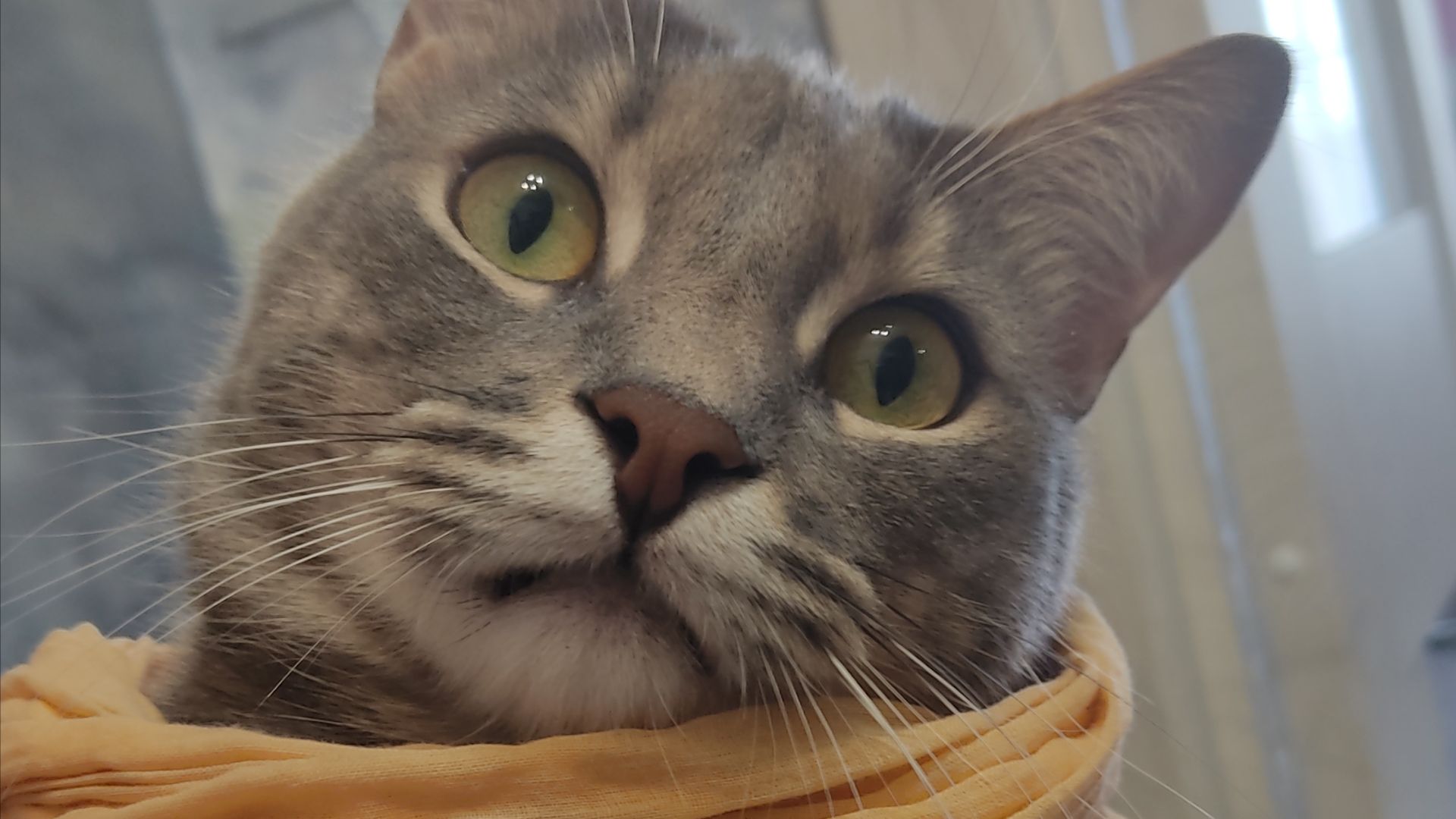 Я в шоке!!! Замечательные подарки от канала "Сказка про алмазку"! смотреть онлайн