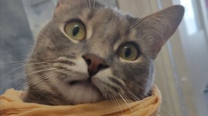 Я в шоке!!! Замечательные подарки от канала "Сказка про алмазку"!