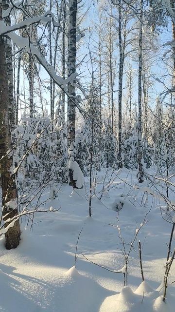 26 Января 2026 смотреть онлайн