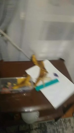 25 января 2026 г.