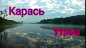 😉   УтРеНнИй КаРаСь   😉Просто кайф!!!