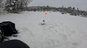 Ловля щуки на жерлицы в глухозимье. Кое что поймали.